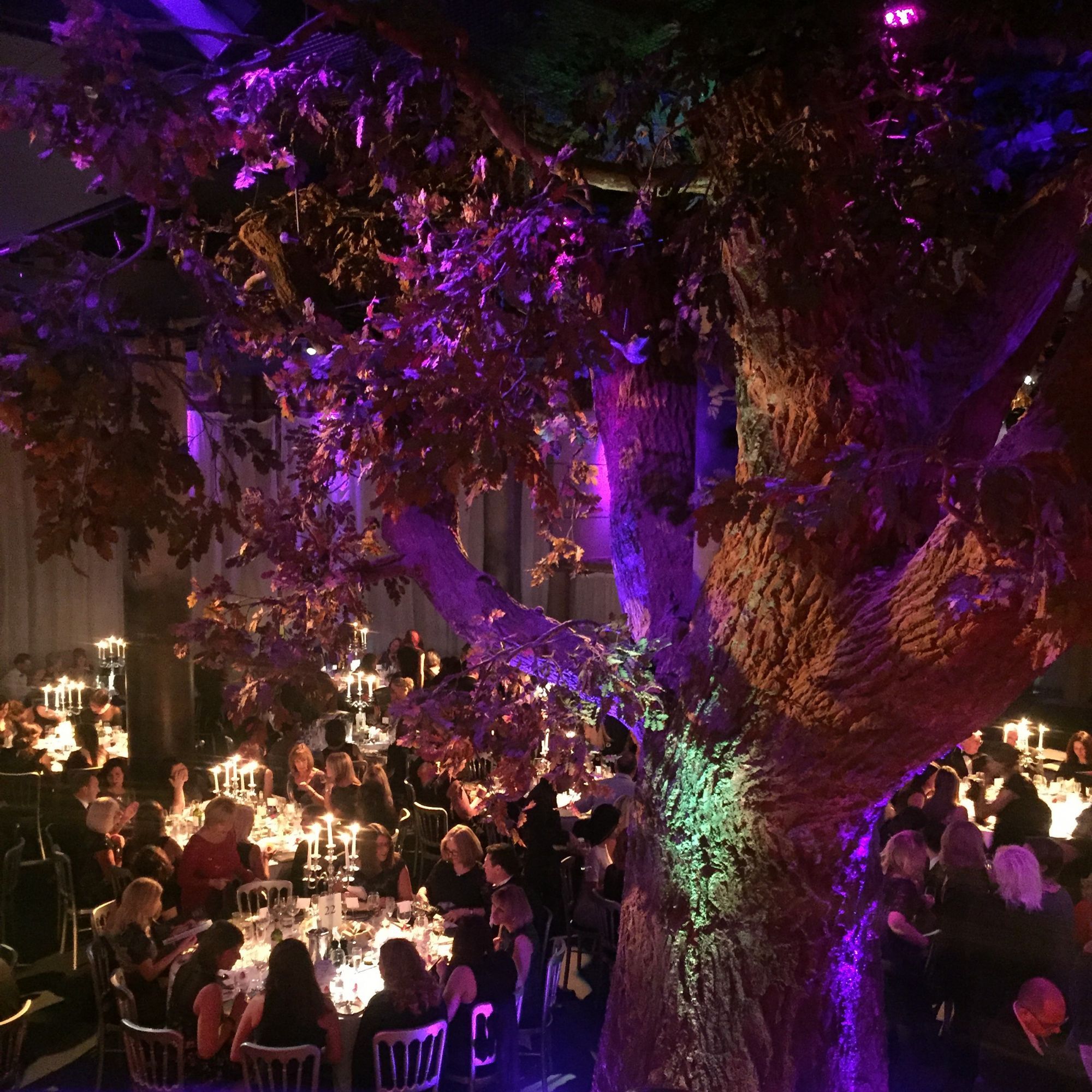 Lingerie Retailers Shine at the Stars Awards Lingerie Retailers Shine at the Stars Awards
