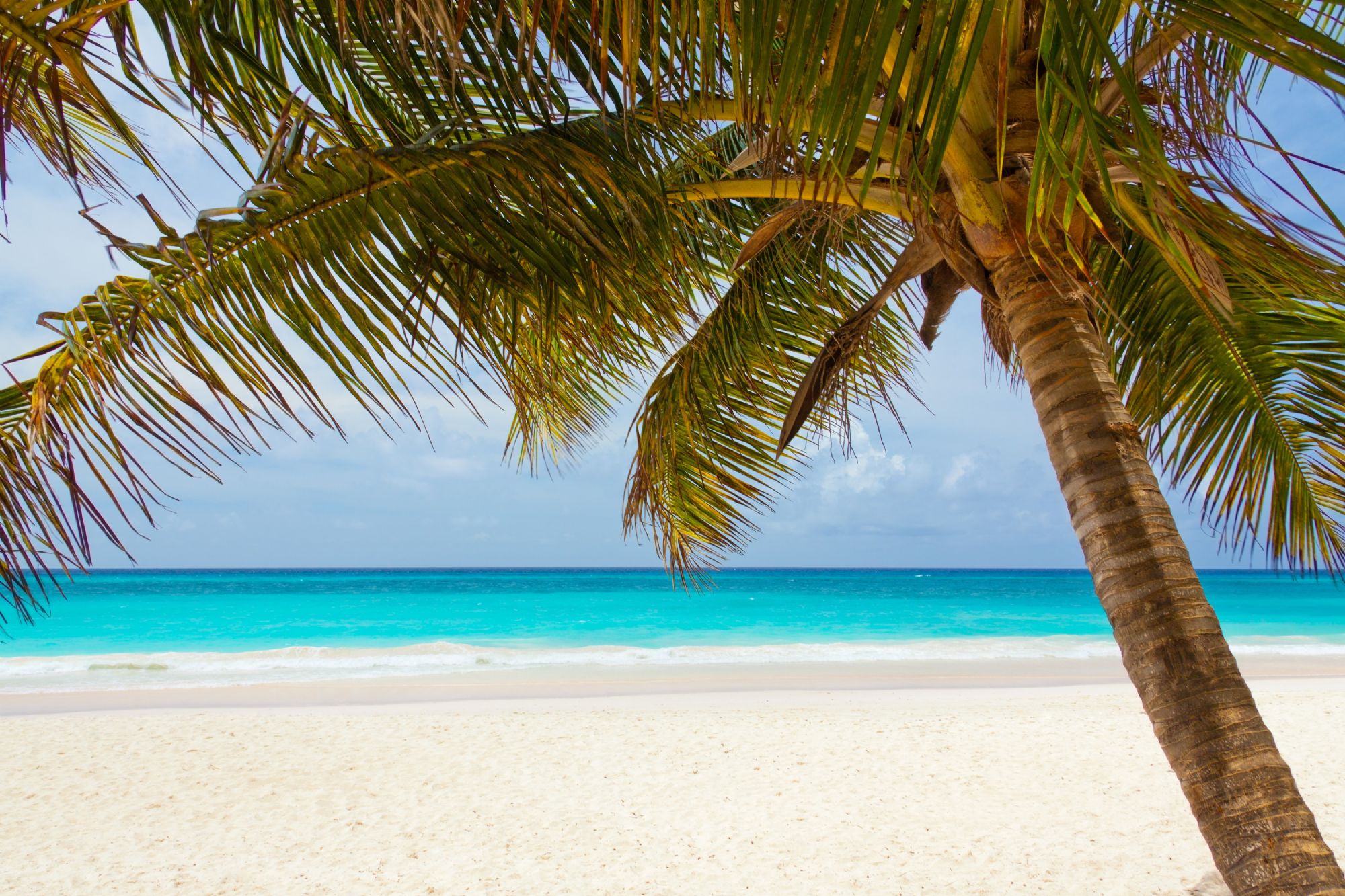 Sun, Sea, Sand and Swimwear Sun, Sea, Sand and Swimwear